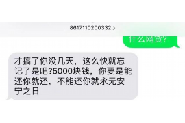 黄岩黄岩的要账公司在催收过程中的策略和技巧有哪些？